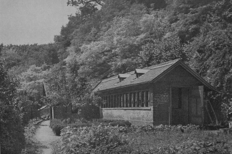 Mendelův včelín, Magazín KULT* Brno