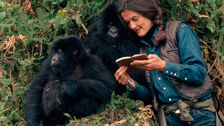 Gorily v mlze, Dian Fossey, recenze, magazín KULT* Brno