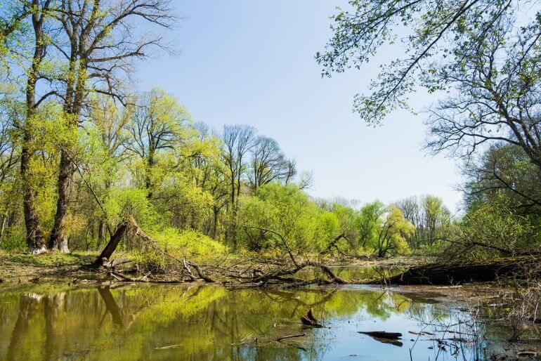 Rozhovor Tomáš Růžička, CHKO, příroda. KULTINO*
