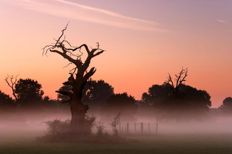 Rozhovor Tomáš Růžička, CHKO, příroda. KULTINO*