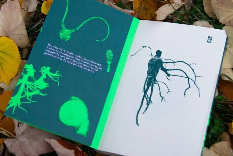 Recenze knihy Flora, Jonáš Zbořil, Paseka, 2024. KULTINO*