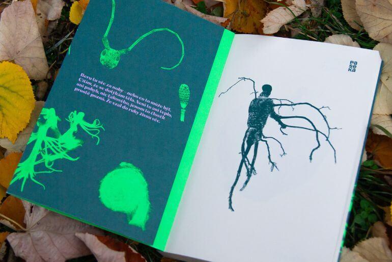 Recenze knihy Flora, Jonáš Zbořil, Paseka, 2024. KULTINO*