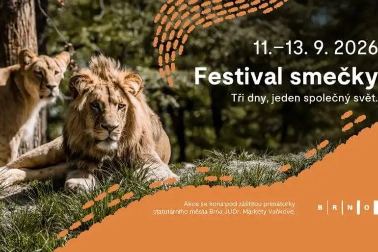 Oficiální plakát na Festival smečky v Zoo Brno. Grafika se lvy zve na podzimní víkendovou akci, nad kterou převzala záštitu primátorka Markéta Vaňková. KULTINO*