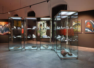 Moravské zemské muzeum - Dietrichsteinský palác. Magazín KULTINO* Brno