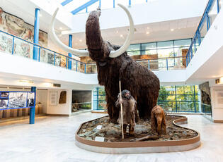 Moravské zemské muzeum - Pavilon Anthropos. Magazín KULTINO* Brno