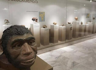 Moravské zemské muzeum - Pavilon Anthropos. Magazín KULTINO* Brno