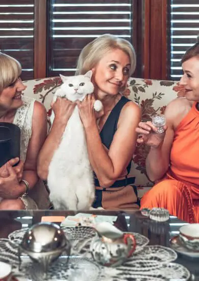Představení S láskou Mary, divadlo Bolka Polívky. Magazín KULT*  Brno