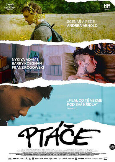 Film Ptáče, kino Art Brno. Magazín KULTINO* Brno