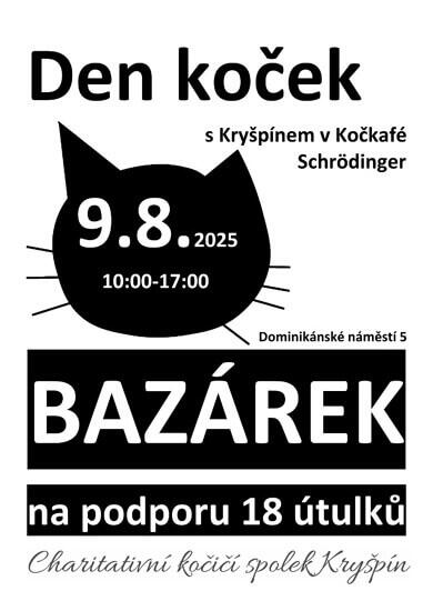 Akce Den koček s Kryšpínem, Kočkafé Schrödinger. Magazín KULTINO* Brno