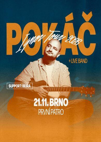 Český písničkář Pokáč s ukulele během živého koncertu v rámci Ignor Tour v brněnském klubu První Patro. KULTINO*