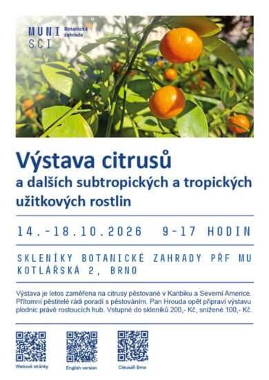 Výstava citrusů a subtropických plodin ve sklenících Botanické zahrady PřF MU v Brně. KULTINO*
