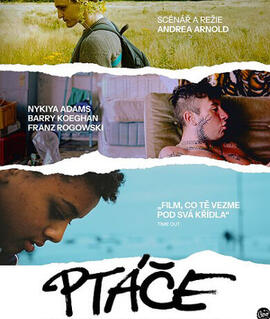 Film Ptáče, kino Art Brno. Magazín KULTINO* Brno