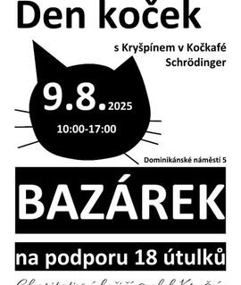 Akce Den koček s Kryšpínem, Kočkafé Schrödinger. Magazín KULTINO* Brno