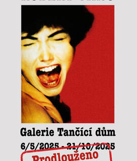 Výstava Robert Vano, Galerie Tančící dům Praha. Magazín KULTINO* Brno