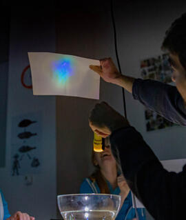 Akce Island: světla severu, VIDA! science centrum. Magazín KULTINO* Brno