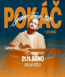 Český písničkář Pokáč s ukulele během živého koncertu v rámci Ignor Tour v brněnském klubu První Patro. KULTINO*
