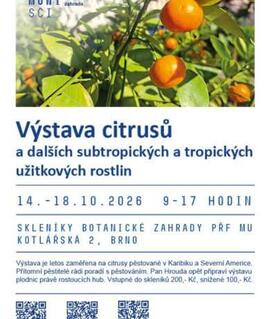 Výstava citrusů a subtropických plodin ve sklenících Botanické zahrady PřF MU v Brně. KULTINO*