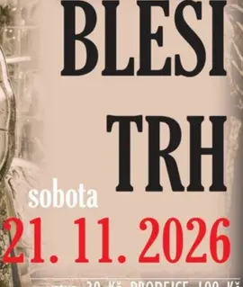 Plakát Bleší trh ve Vlastivědném muzeu Kyjov, kde se prodávají starožitnosti, retro kousky a věci z půd a sklepů. KULTINO*