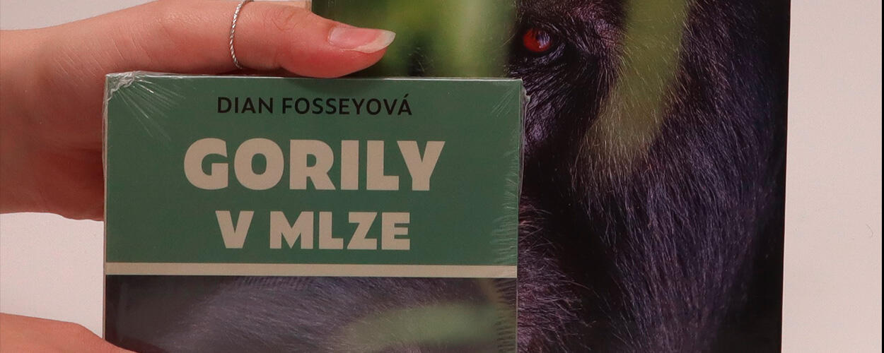 Gorily v mlze, Dian Fossey, recenze, magazín KULT* Brno
