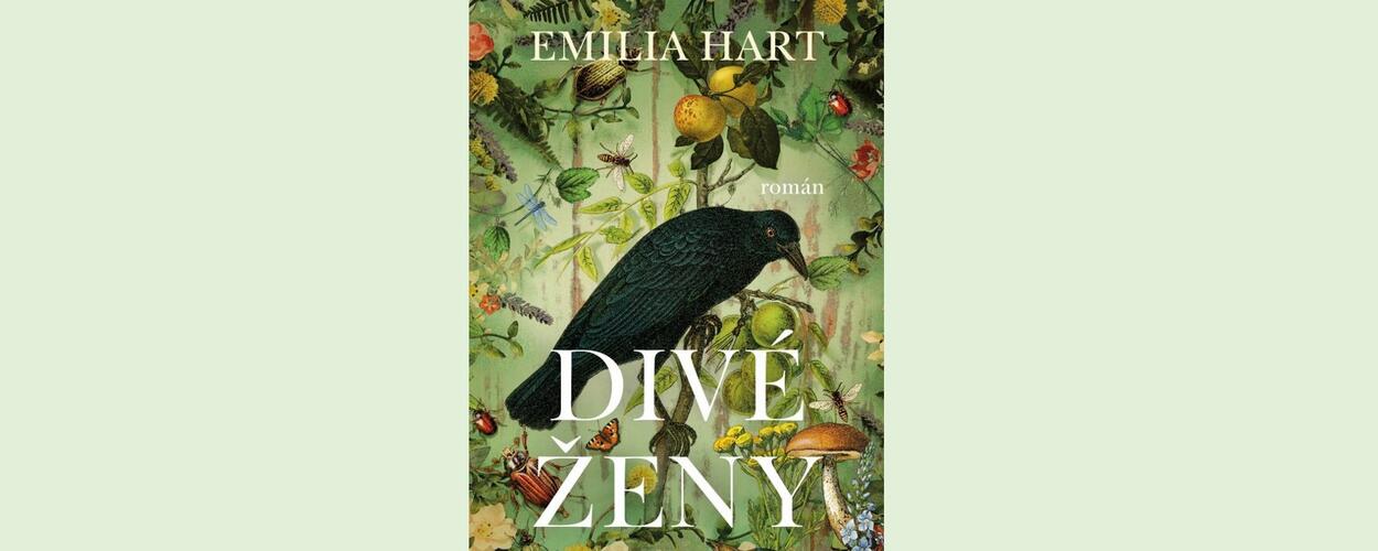 Román Divé ženy od Emilie Hart