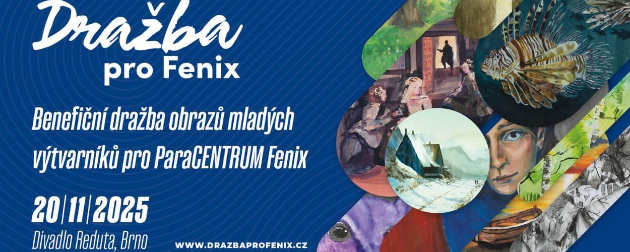 Charitativní večer dražby obrazů pro paracentrum Fenix v Divadle Reduta, magazín KULTINO* Brno