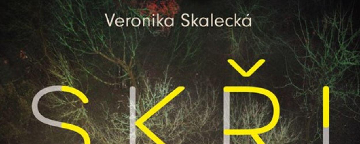 Kniha, novinka, Skřivánek, Veronika Skalecká, nakladatelství Motto, KULTINO*