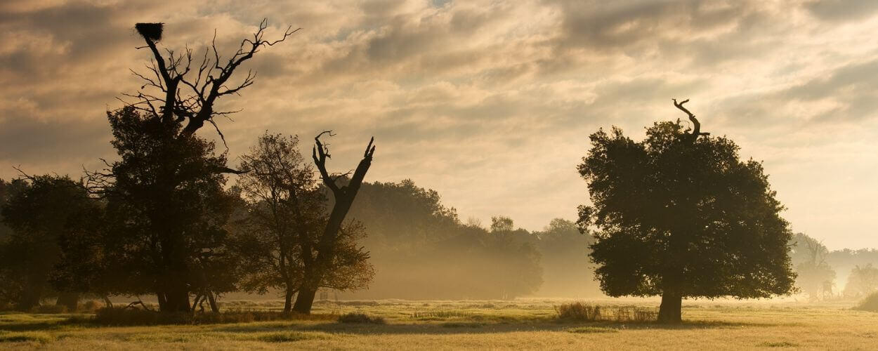 Rozhovor Tomáš Růžička, CHKO, příroda. KULTINO*