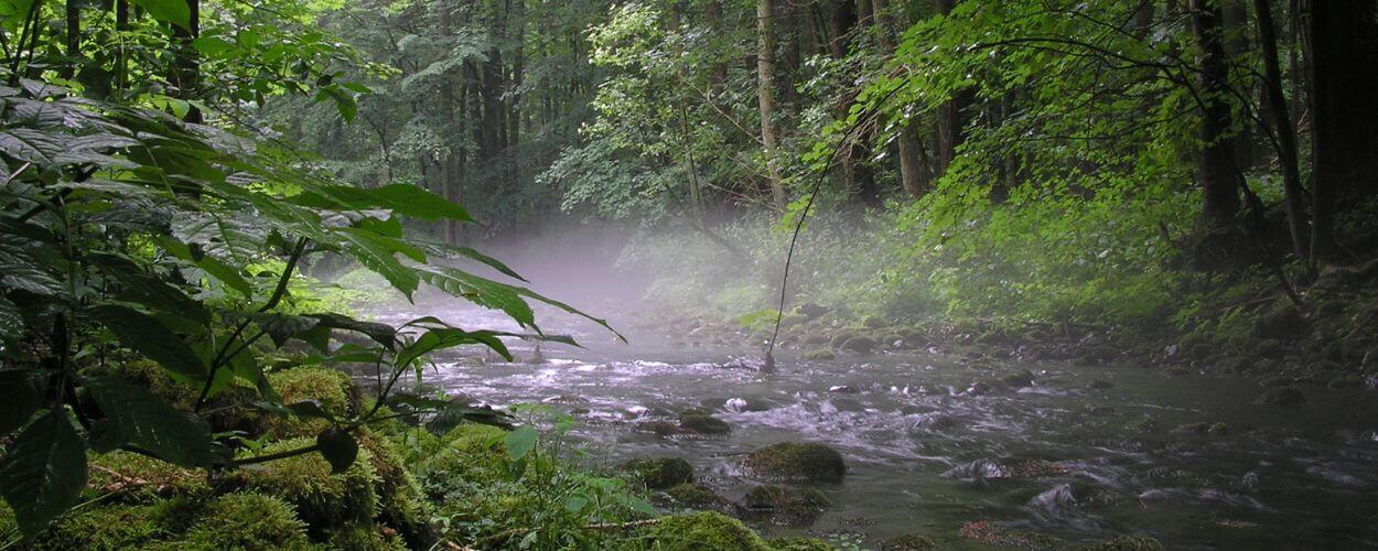 Na kole divokými soutěskami Moravského krasu, Suchý žleb, Holštejn, Skalní mlýn, Punkva. KULTINO*