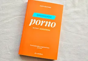 Organizační porno,Aneta Martinek, recenze, magazín KULTINO* Brno