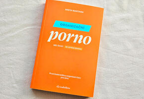 Organizační porno,Aneta Martinek, recenze, magazín KULTINO* Brno