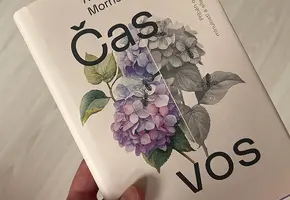  Alena Mornštajnová, Čas vos, knihy, literatura, recenze, magazín KULTINO*Brno