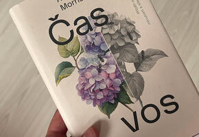  Alena Mornštajnová, Čas vos, knihy, literatura, recenze, magazín KULTINO*Brno