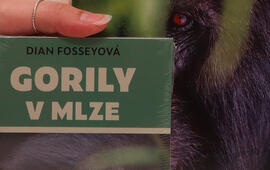 Gorily v mlze, Dian Fossey, recenze, magazín KULT* Brno