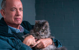 Muž jménem Otto, Tom Hanks, Muž jménem Ove, Fredrik Backman, magazín KULT* Brno