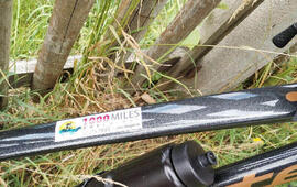 Cyklistický závod 1000miles, cyklistika, sport, závod, Šéfredaktor,  Radek Holík, Hranice u Aše, Šumava, Magazín KULT* Brno