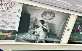 Účastníci kurzů ozdobili Brno mozaikami, sochami a fotografiemi, Lužánky, magazín KULT* Brno