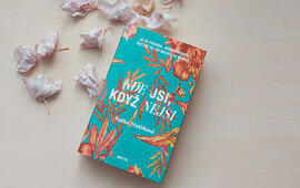 Kde jsi, když nejsi,Radka Třeštíková, Motto, recenze, knihy, books, magazín KULT* Brno