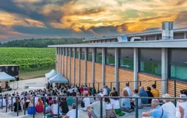 Hudební festival Znojmo, vystoupí Plachetka, Šporcl, Ledecký. Magazín Kultino Brno