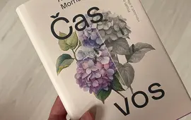  Alena Mornštajnová, Čas vos, knihy, literatura, recenze, magazín KULTINO*Brno