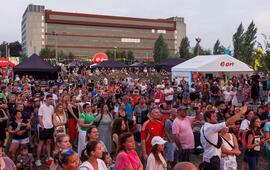 Článek Hlasujte pro ekologický projekt roku a přijďte na Ekofestival. Magazín KULTINO* Brno