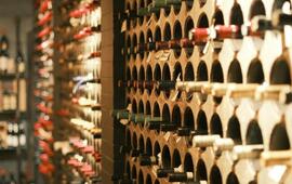 Akce pro vinaře En Primeurs Tasting 2025, magazín KULTINO* Brno