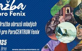 Charitativní večer dražby obrazů pro paracentrum Fenix v Divadle Reduta, magazín KULTINO* Brno