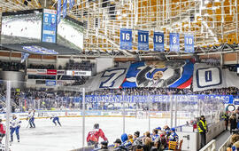 Článek Choreo si zasloužil i Gott, říká Jan Přibyl, autor těch komeťáckých. Magazín KULTINO* Brno