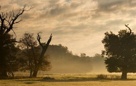 Rozhovor Tomáš Růžička, CHKO, příroda. KULTINO*