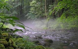 Na kole divokými soutěskami Moravského krasu, Suchý žleb, Holštejn, Skalní mlýn, Punkva. KULTINO*