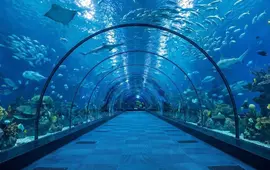 Prosklený podmořský tunel v novém akváriu Green Planet v Brně. Návštěvníci jsou bezprostředně obklopeni oceánským životem, korály a plavajícími žraloky. KULTINO*