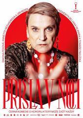 Přišla v noci, Jan Vejnar, Tomáš Pavlíček, Simona Peková. recenze, film, magazín KULT* Brno